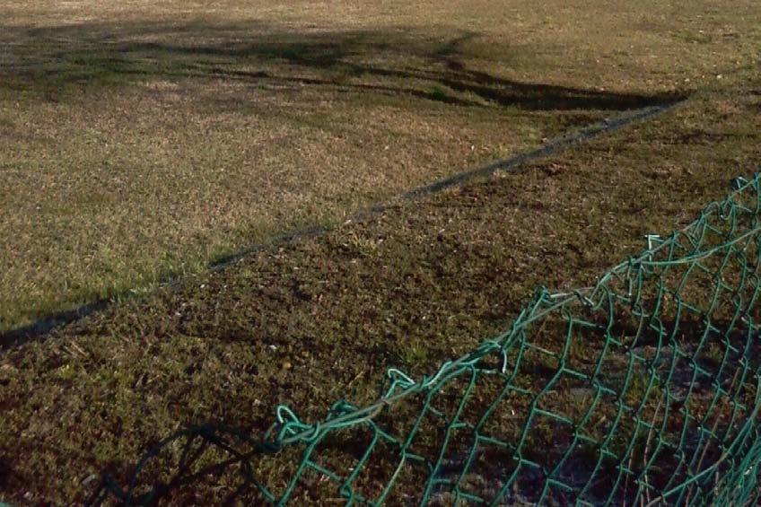 Padovana, tra Viale della Navigazione