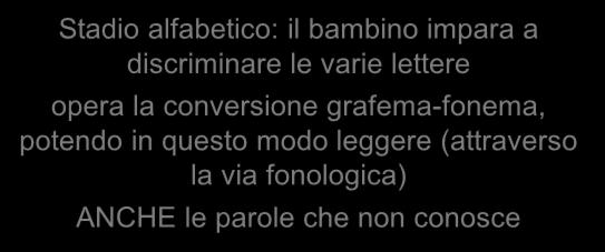 tuttavia egli non ha né conoscenze ortografiche né fonologiche sulle parole che legge.