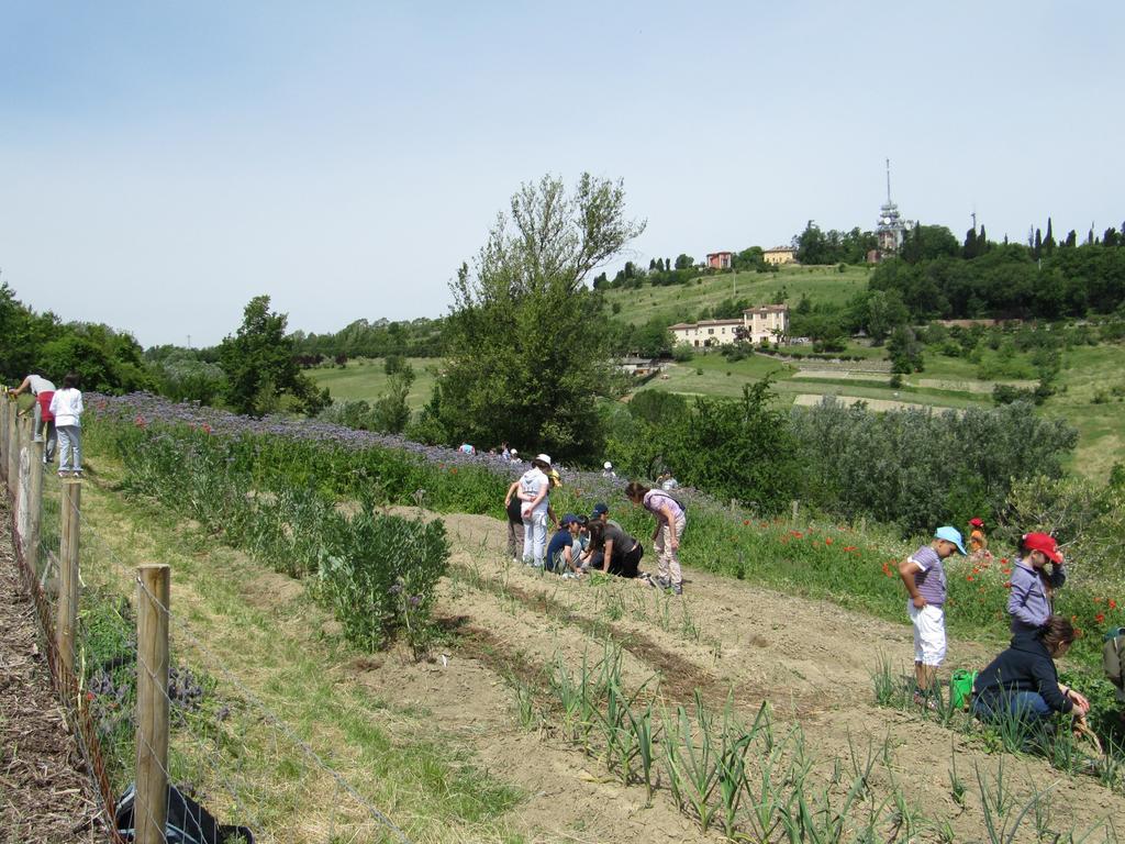 Orto didattico, Parco Villa Ghigi FONDAZIONE Orti