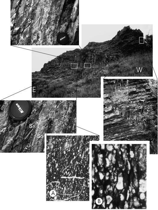 Fig. 11 - Affioramento di Diaspri presso Pietra Sorbella.