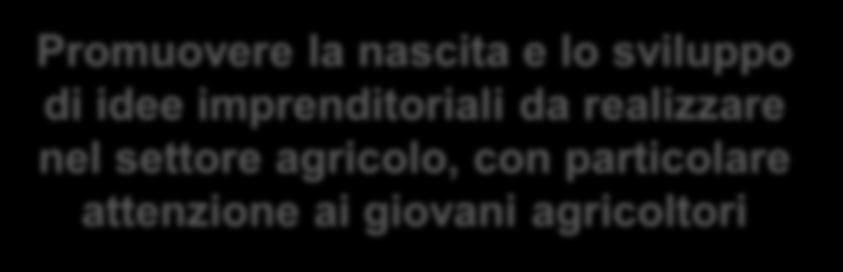 presenti nei territori volta a promuovere l innovazione e