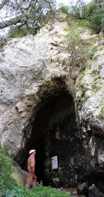 andamento ascendente lunga m, e da alcuni rami laterali per un totale di 0 m di sviluppo interno.