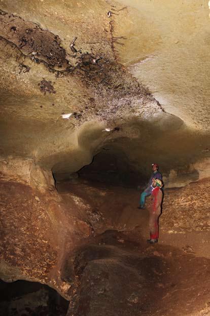 LA SALA TERMINALE La sala terminale ha dimensioni di x m ed è in genere popolata da una ricchissima colonia di pipistrelli.