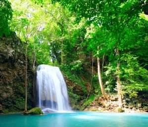 piante ornamentali, fiori e fragole. Si comincerà a notare un cambio nella temperatura e nella vegetazione circostante, ossia la transizione al famoso ed exuberante bosco nuvoloso del Vulcano Poás.