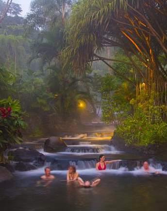 Tutto questo in un affascinante parco tropicale con una splendida vista al Vulcano.