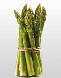 Utilizzabile sia per la produzione di asparago verde che di quello bianco e si può coltivare sia in coltura protetta, sia in pieno campo.
