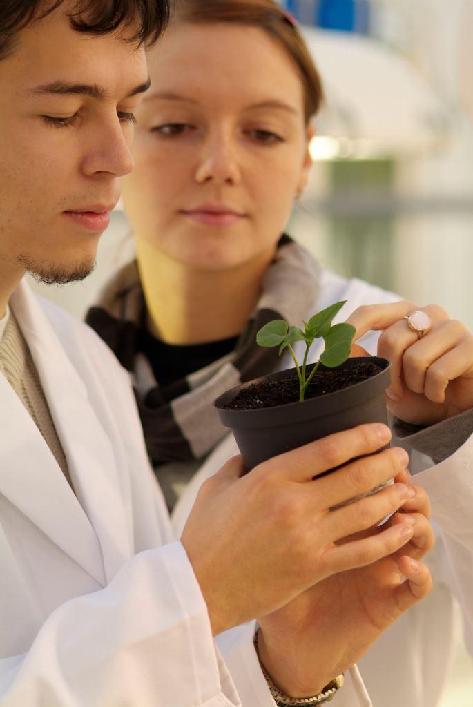 Esempio di consulenza: Uno sguardo sulla ricerca in Germania Spese per R&S nel 2010 (in totale): 69,9 miliardi (=2,82% del PIL) = 3 o posto a livello mondiale Società di ricerca extra-universitarie: