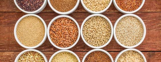 Salute & Benessere: domande e risposte Elisa Bernardi Biologa Nutrizionista Cereali... quali scegliere? Tra i cereali più conosciuti abbiamo il frumento, il riso, il kamut, l orzo e il farro.
