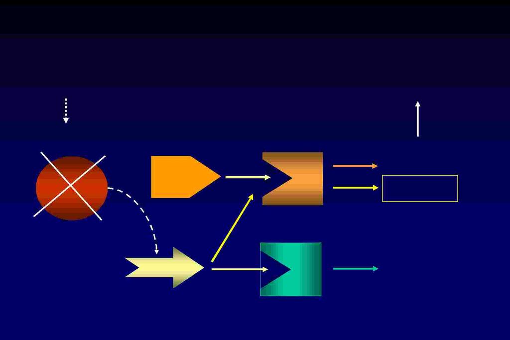 Deficit genetici, Liquirizia ipertensione 11betaHSD Enzima Aldosterone Az.