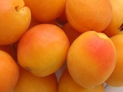 vitamina C; quest ultima nei meloni raggiunge livelli