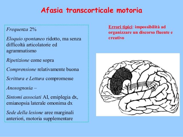 Afasia transcorticale motoria Eloquio non fluente e ripetitivo Ridotta complessità sintattica ma assenza dell'agrammatismo Risposte ecolaliche (routines) Localizzazione della lesione: in genere