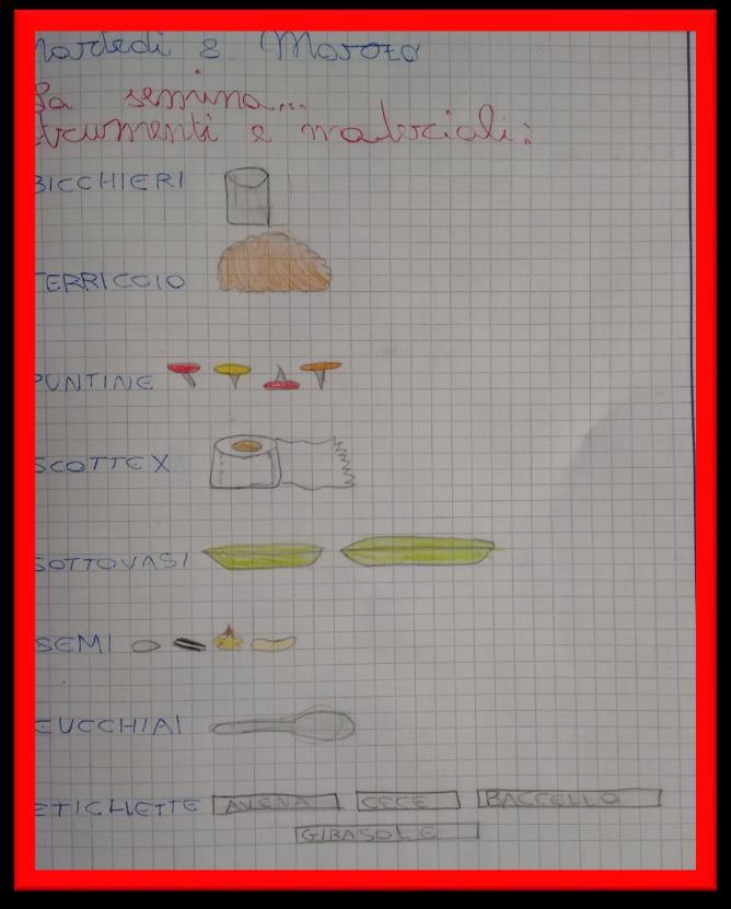 LA SEMINA IN CLASSE Procediamo nella semina prendendo