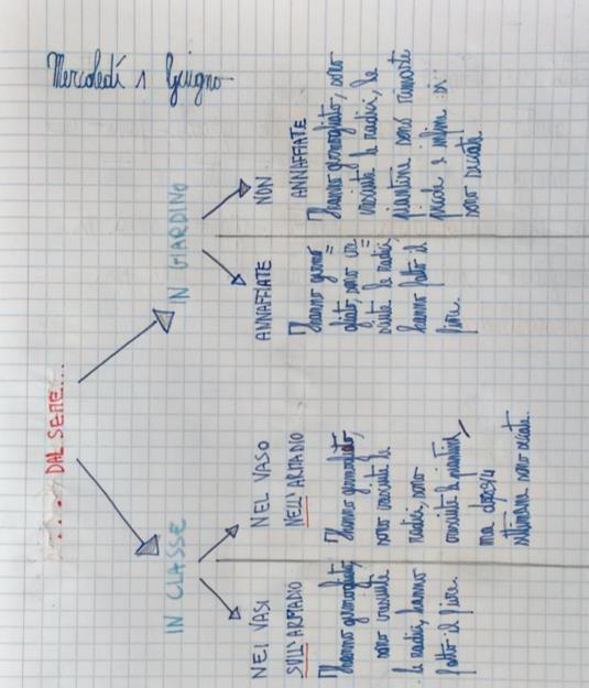 CONCLUSIONI Cerchiamo di riassumere