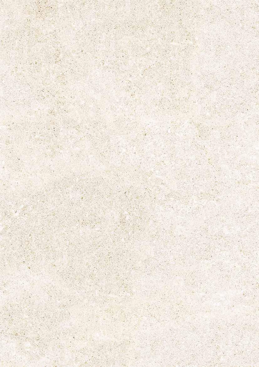 Rivestimenti in pasta bianca White body wall tiles