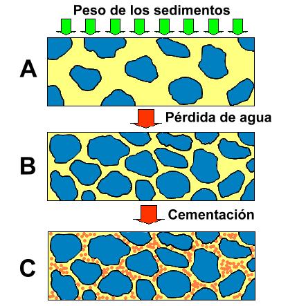 Le rocce sedimentarie Si formano per cementazione