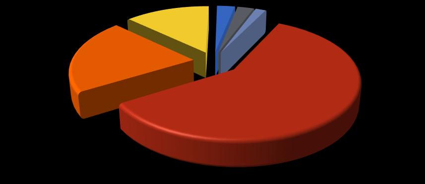 2013 2014 Italia 31,0% 180,0 160,0 140,0 120,0 100,0 80,0 60,0 40,0 20,0 0,0