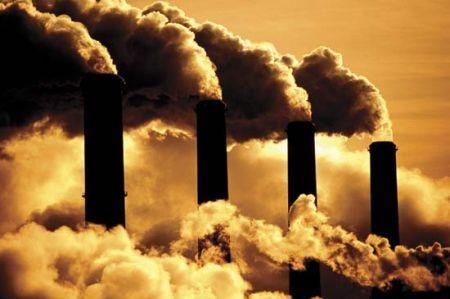 Carbon Footprint molto inferiore a quella delle soluzioni tradizionali (muri in calcestruzzo, pietrame sciolto).