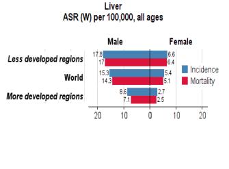 INTRODUZIONE [Introduction] tumori al fegato, incidenza e mortalità liver tumors, incidence and mortality AIRTUM Italia Pool 38 Italy registri Mondo World Femmine 4,02 3,06 Incidenza Mortalità Maschi