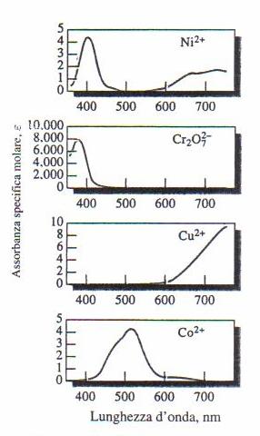 Le sostanze che assorbono nel campo del visibile sono colorate del colore complementare rispetto alla radiazione assorbita.