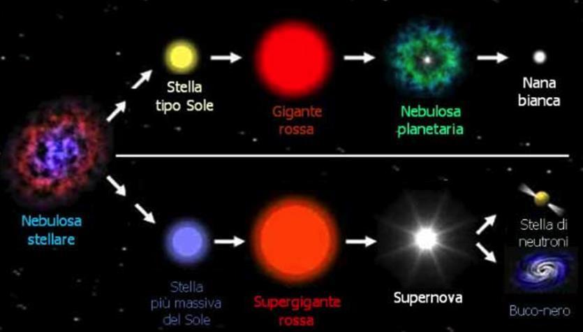 La stella aumenta di dimensioni e si raffredda, trasformandosi in Gigante rossa Nell arco di qualche milione di anni l energia tende ad esaurirsi e la stella perde gli strati esterni (nebulosa