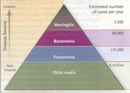 Malattie da Streptococcus pneumoniae nel bambino e nell