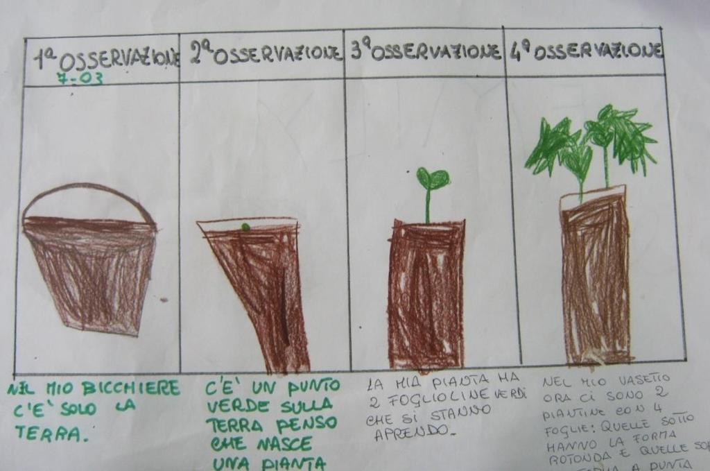 la forma tonda e quelle sopra sono a