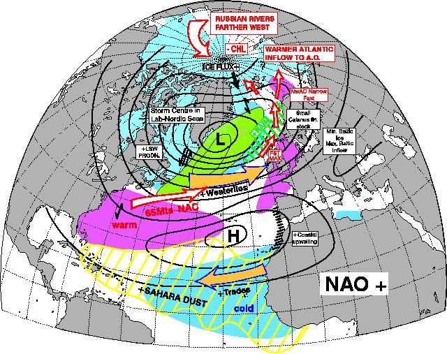 I principali indici climatici a scala planetaria: NAO Positivo Alta pressione subtropicale rinforzata e bassa pressione islandese più profonda rispetto ai valori medi Aumento delle perturbazioni