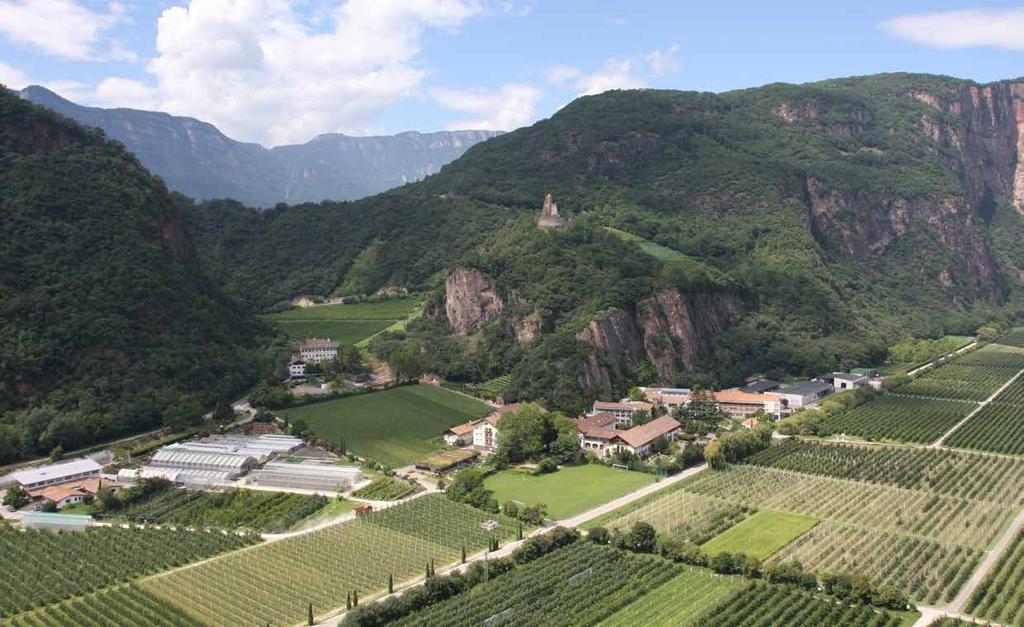 Soprattutto in Trentino Alto Adige il paesaggio dominato dall albero del melo esprime la sua bellezza in tutte le quattro stagioni: in primavera, tra le verdi distese di foglie