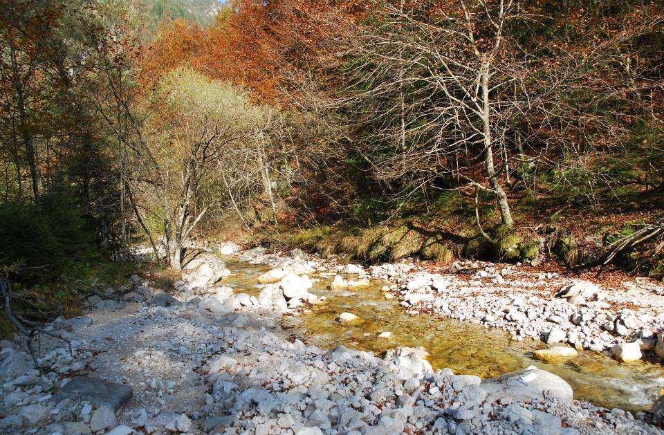 Considerazioni sul metodo multihabitat Torrente