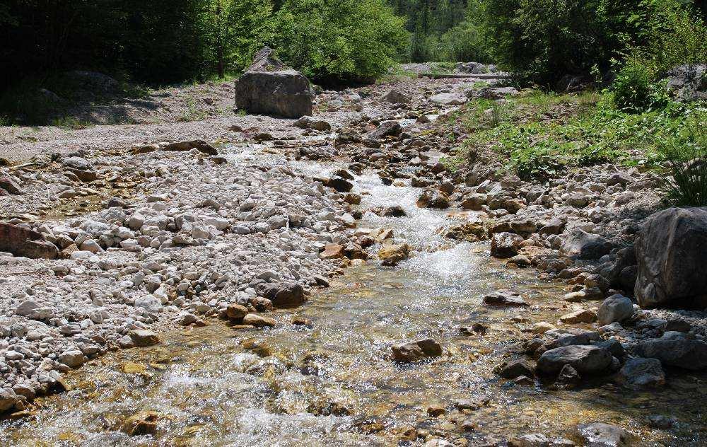 rischio) Assenza di attività antropiche