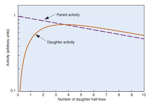 Figura 2: Attività relative di padre e figlio in funzione del tempo nelle ipotesi λ p λ f, BR = 1 e A f (0) = 0 [2].