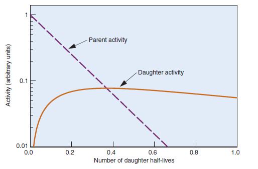 attività del padre. Figura 3: Attività relative di padre e figlio in funzione del tempo nelle ipotesi λ p λ f, BR = 1 