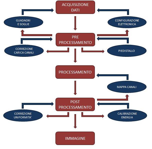 5 Calibrazione del sistema e processamento dei dati Per ricostruire un immagine che raffiguri correttamente la distribuzione dell attività del radiofarmaco i dati acquisiti vengono opportunamente