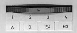 Confrontare quale posizione del disco portafiltri (numero a sinistra della guida a coda di rondine) sia stata equipaggiata con quale blocco portafiltri.