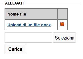 Pulsante per la cancellazione Nome del file caricato. Cliccando sul nome si può scaricare il file.