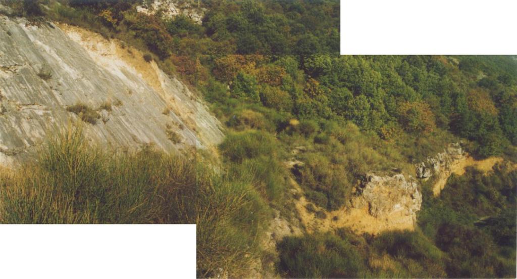 Carbonati di piattaforma carbonatica (Cretacico inf.