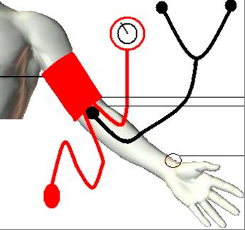 PRESSIONE ARTERIOSA Il bracciale dello sfignomanometro deve essere messo 2 cm sopra la piega del gomito, mentre