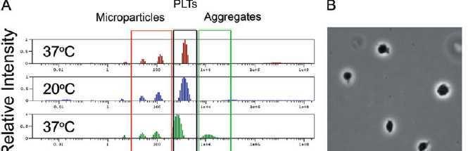 Caratteristiche in vitro ed efficacia