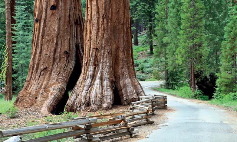 STATI UNITI TOUR IN PULLMAN Western Panorama Un emozionante itinerario attraverso la California, lo Utah e il Nevada e che tocca i luoghi più leggendari dell Ovest degli Stati Uniti: da città