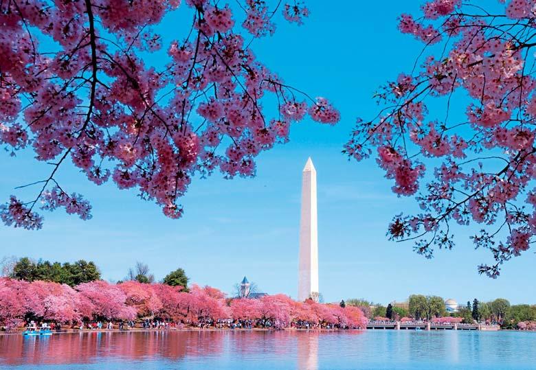 Il nostro giudizio o suggerimento: Un tour che vi permette di visitare Washington D.C., capitale federale degli USA e città simbolo dell unità del Paese.