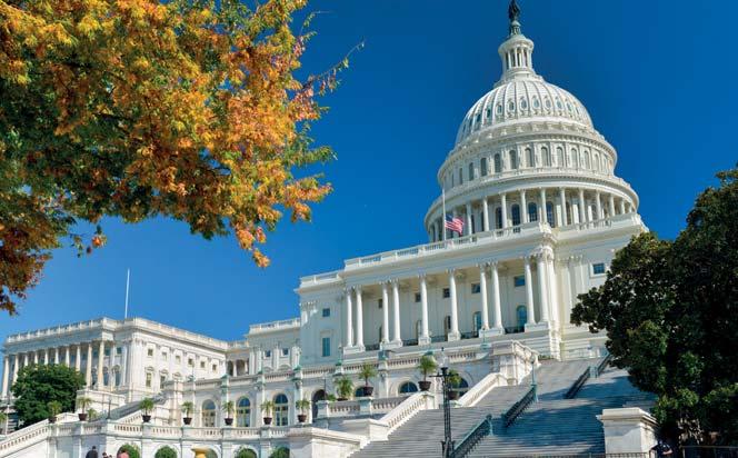 Pernottamento in hotel. 2 giorno WASHINGTON D.C.