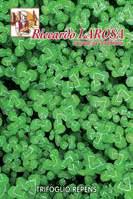 DICHONDRA