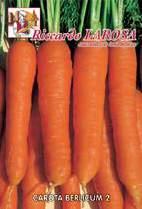 CAROTA NANTESE