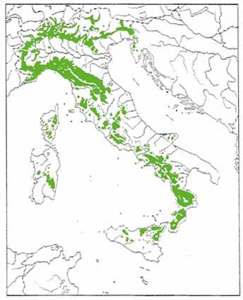 del castagno Areale di 