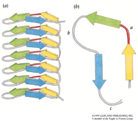 Eliche β parallele a 3 fogliea - 2 dei fogliea β sono paralleli l un l altro e perpendicolari al terzo.