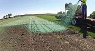 fornisce una copertura molto più uniforme degli altri tipi di mulch in circolazione, soprattutto di origine