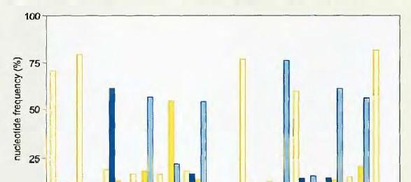 INIZIO Struttura del promotore batterico La sequenza del Promotore ha una forte influenza sul livello di espressione.