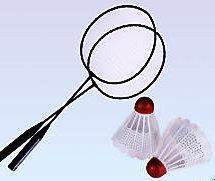 STORIA DEL BADMINTON il badminton è il terzo sport più diffuso al mondo. E' particolarmente giocato in Asia Orientale, in Cina, nel Nord Europa.