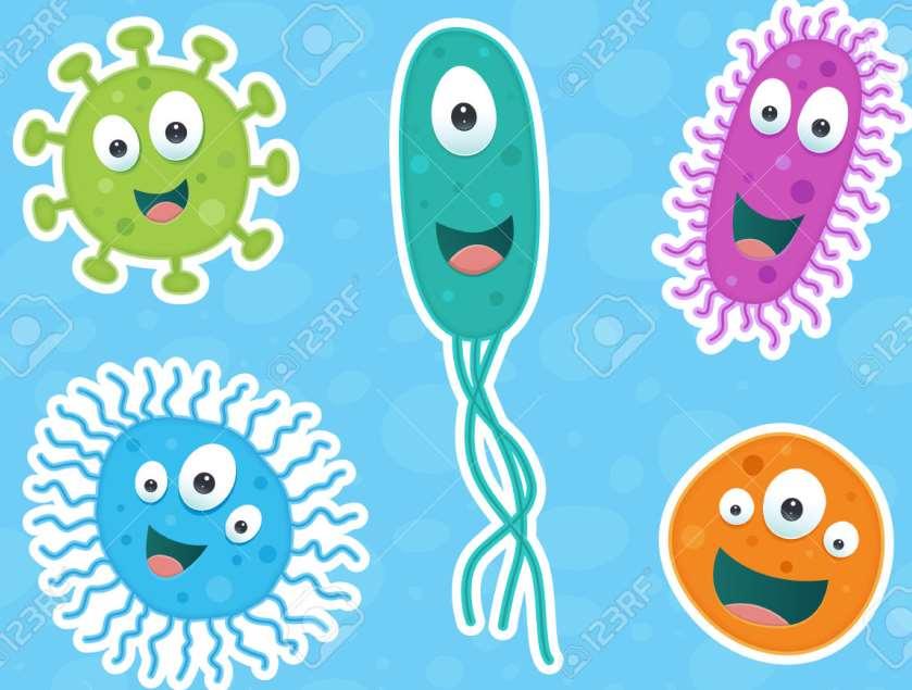 Il benessere del microbiota Per il benessere dell intestino e dell intero organismo dobbiamo trattare bene il nostro microbiota