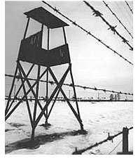 27 gennaio 2017 giorno della memoria Il 27 gennaio 1945 i soldati dell Armata Rossa abbattevano i cancelli di Auschwitz e liberavano i prigionieri sopravvissuti allo sterminio del campo nazista.
